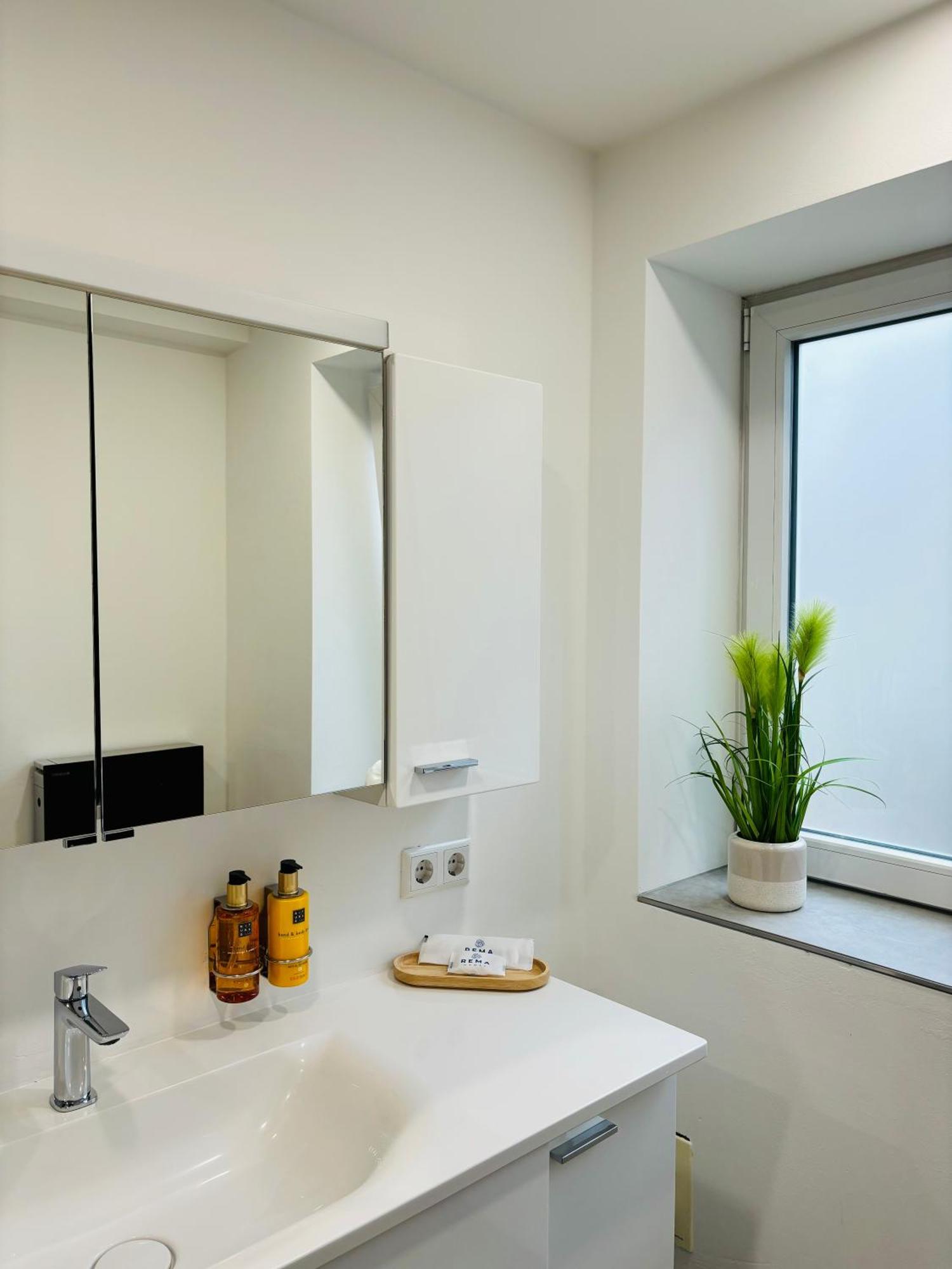 Apartamento Jacuzzi Terrasse 55' Tv Kueche Regendusche Bad Bellingen Exterior foto